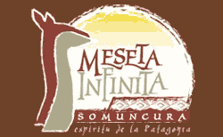 Logo Meseta Infinita